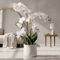 L’Orchidea Phalaenopsis artificiale con foglie è una riproduzione elegante e luminosa