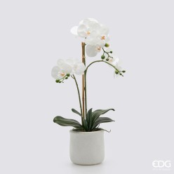 Orchidea 56 cm Enzo De Gasperi per Lemoire Home