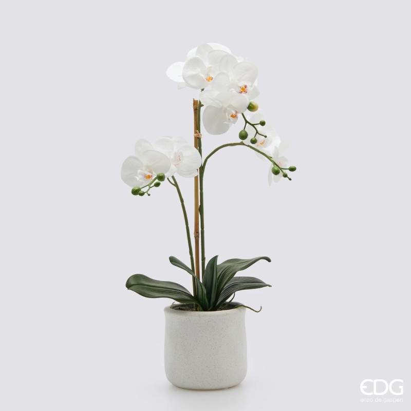 Orchidea 56 cm Enzo De Gasperi per Lemoire Home