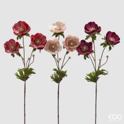 Anemone in Velluto, Pink mix color - EDG
