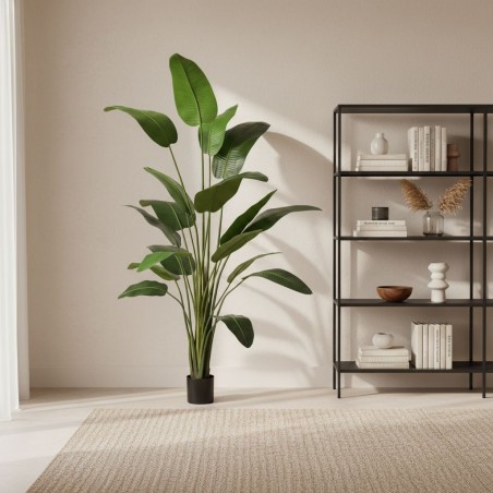 Pianta artificiale Sterlitzia 185 cm o 260 cm - EDG
