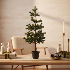 Alberello di Natale Naturale Sottile con Vaso H 71 cm | EDG Enzo De Gasperi