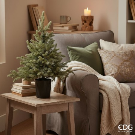 EDG Enzo De Gasperi | Albero Pino Argentato Folto con Vaso H 90 cm