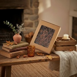 Pigne Decorative Pino Naturali Classiche | Confezione 48 pz (H 4 cm)