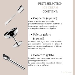 Set Gelato Professionale - Pinti Selection Ice Cream